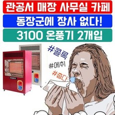 [O]넓은 실내에서 따뜻하게 사용하는 온풍기 X 2개입, HV21 FU-3100_아이보리, 상세페이지 참조