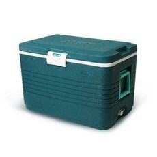 아트박스/라이피스트 팬더아이스박스58L, 그린