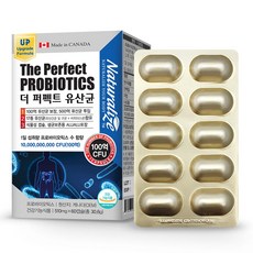 캐나다 네추럴라이즈 더퍼팩트 프로바이오틱스 유산균 프리바이오틱스 ALUALU포장 17종 500억투입 프리바이오틱스 장건강, 1개, 60정