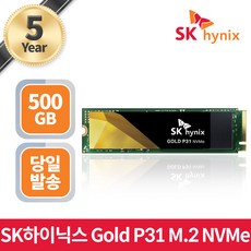 SK하이닉스 GOLD P31 NVMe SSD, HFS001TDE9X0733, 1TB
