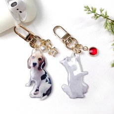 고양이전신제작