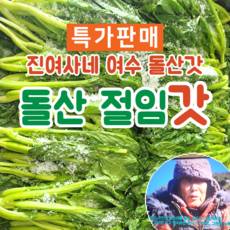 돌산갓 김치 추천 순위 3