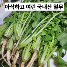 추천7달래무침