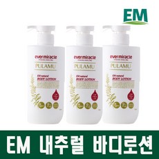 에버바디