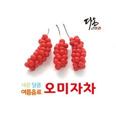 //상품명