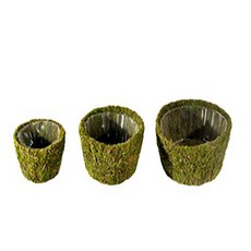 Super Moss (55100) Roseville Fresh Green Set of 3 (S/M/L) 슈퍼 모스 (55100) 로즈빌 프레시 그린 3 종 세트 (S / M, 1