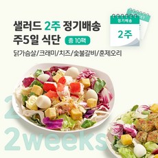 [포켓샐러드] 샐러드 2주 정기배송 주5일 (베스트 샐러드_닭+크래미+치즈+숯불+훈제오리), 240g, 10팩