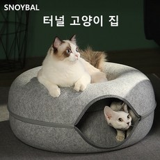 rego고양이터널