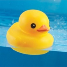 물놀이러버덕