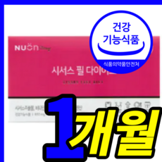 이나영시서스알약