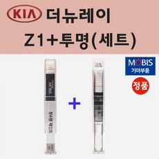 레이순정avn
