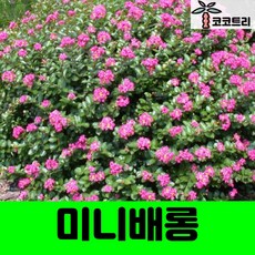 47aa4d10beca55983d51007d5a7649aa7d808b94bbbe39f4186c026c48bb.jpg