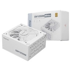 Segotep GM1250W 80PLUS GOLD 풀모듈러 ATX3.1 PCIE5.1 화이트, Segotep GM1250W 80PLUS 화이트