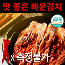 금치김치