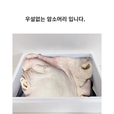 한우암소 발골 소머리 (우설미포함/ 뼈추가가능), 1개
