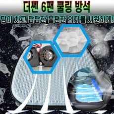 홈쇼핑차량방석