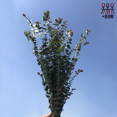 c8c627d356a194d3416f87a338dbd1dce518e6374377f84661dd14cb47a0.jpg