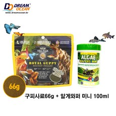 비파물고기 TOP01