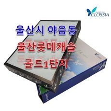 송파시그니처롯데캐슬
