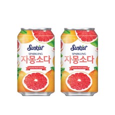 [본사직영]SK 자몽소다 355CAN 24개 리뷰후기