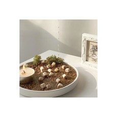 온다숲 천연 가습기용 인테리어 접시 3개 자연기화식 가습제용 반영구 정화석 제올라이트 냄새제거