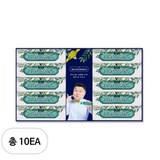 덴티본조르노 구취케어 민트향 치약 100g 선물세트, 10세트