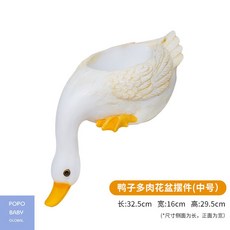 다육이캔들키트