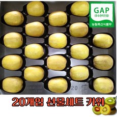 골드키위 레드키위 선물세트, 1박스, 레드키위 2.1kg(개당 105g 내외)