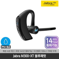 더씽m300