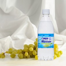 라인바싸 샤인머스켓 탄산수, 80개, 500ml