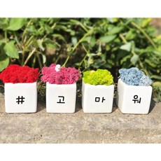 테라리움 TOP01