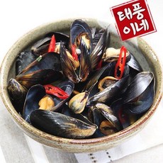 [푸르젠]1차 손질된 생홍합 5kg(실중량)양식장 채취발송