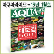아쿠아라이프 2019년 01월호