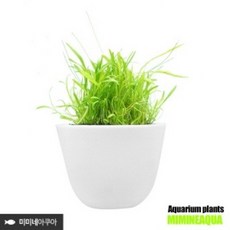 8cd0fa3d0e465bb81e64f34a45533e3b252307d540da6a95e6895d1957a3.jpg
