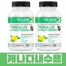 남성기능 트리뷸러스 성욕증가 혈당조절 2개 1통120캡슐 캐나다직배송, 120정
