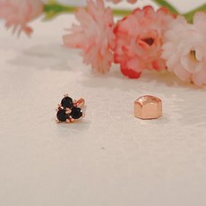 골든듀크리스티나