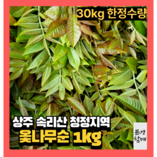 상주 옻순 옻나무순 옷순 엄나무순 2023 봄나물 산나물 산지직송 1kg 1박스, 1개