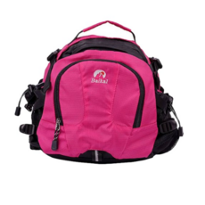 인케이스슬링백