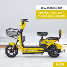 제주도전기자전거대여