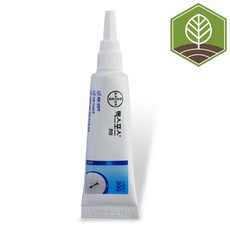 퀀텀alc