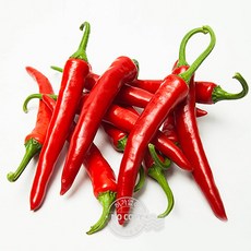 2022년산햇고추가격