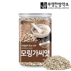 부영한방약초 모링가씨앗 속씨 300g 인도산, 1개