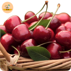 파머스마일 항공직송 수입산 고당도 한입 체리, 1개, 1kg