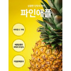 고당도허니글로우파인애플
