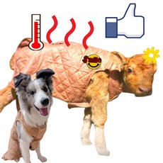 9df85d15f6a5049f238a73bb3b1ffac50cb6ed351bea4b364c7801c2ce46.jpg