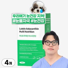 마싯츄 강아지 눈 간, 4개 - 마싯츄