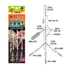 채낚기오징어