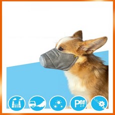 강아지코로나마스크