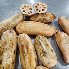 더리얼파머스 국내산 무농약 밀양 햇 연근 1kg 2kg, 1개, 1kg 슬라이스연근