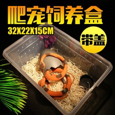 도마뱀 콘스네이크 뱀 전갈 플라스틱 사육장